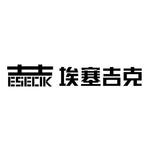 广州埃塞吉克传媒
